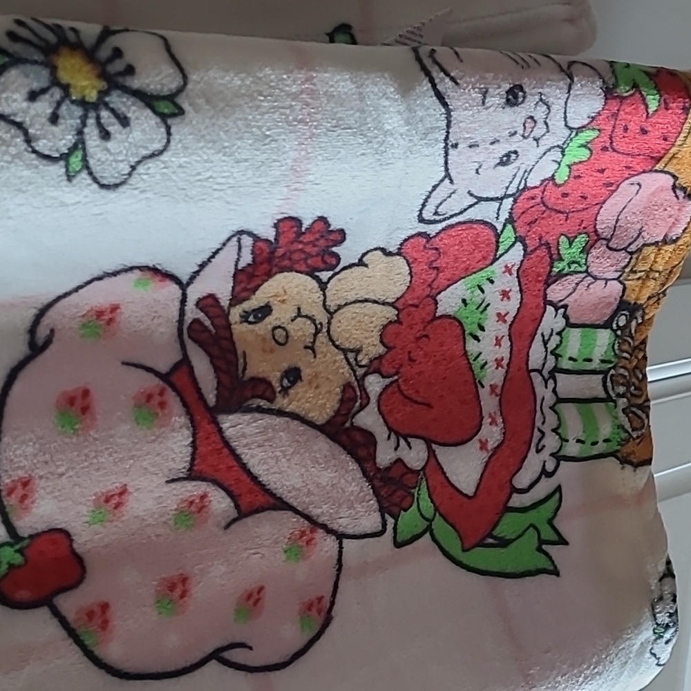 STRAWBERRY SHORTCAKE WITH CAT IN A BASKET And BIKE WITH HEARTS.50IN X70 IN NEW